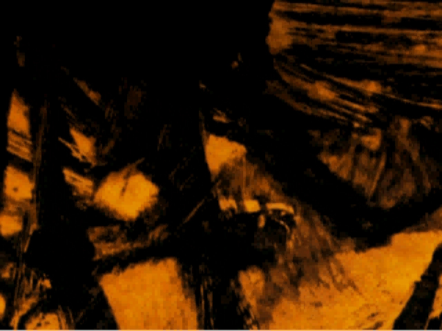 bees_outro