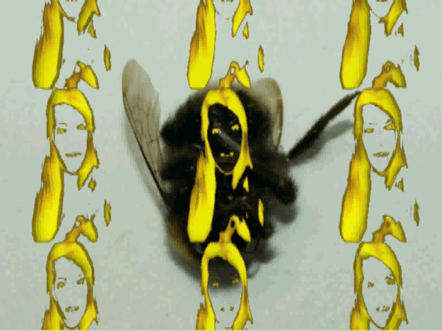 bees1